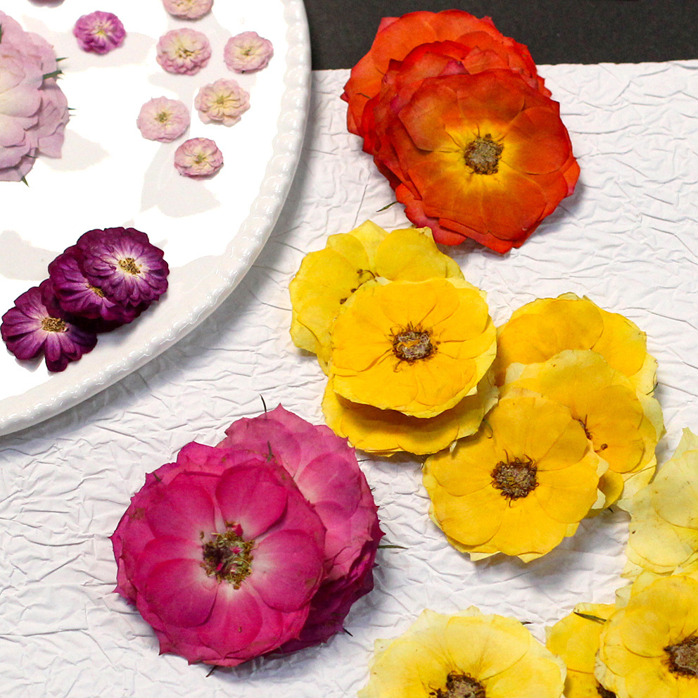 Resin Craft Ideas - 48 Yellow Mixed-Size Pressed Real Roses