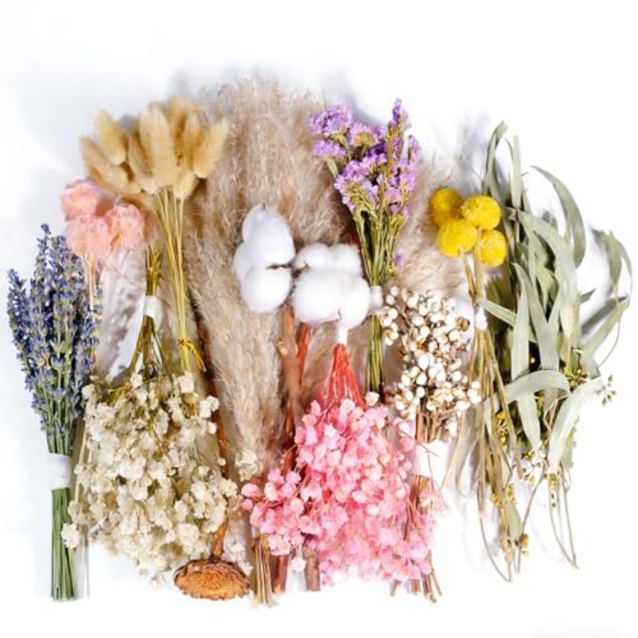 Dried Flower Bulk - 12 Kinds Natural Dried Flower Set,