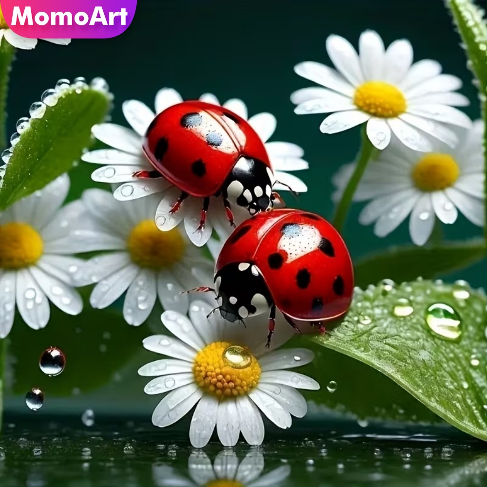 Momoart Diamond Painting Ladyb – Resin Craft For Beginners recenzja i cena