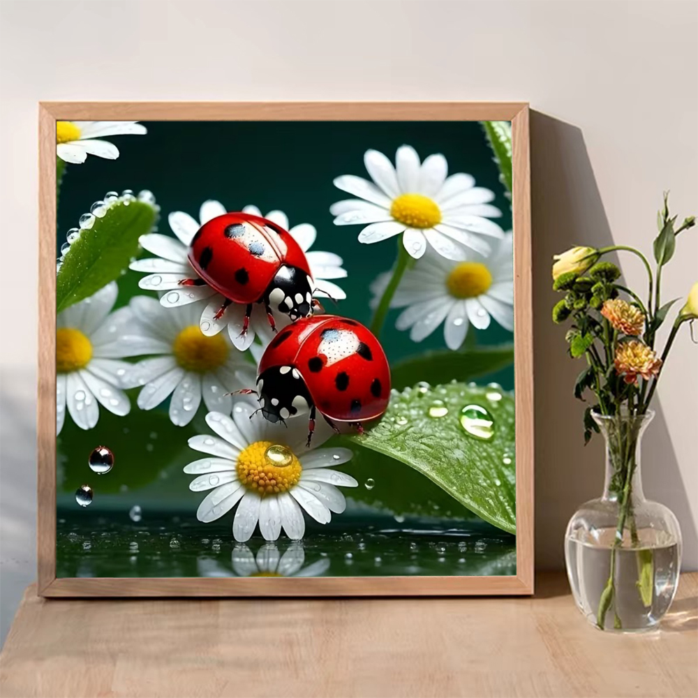 Momoart Diamond Painting Ladyb – Resin Craft For Beginners recenzja i cena