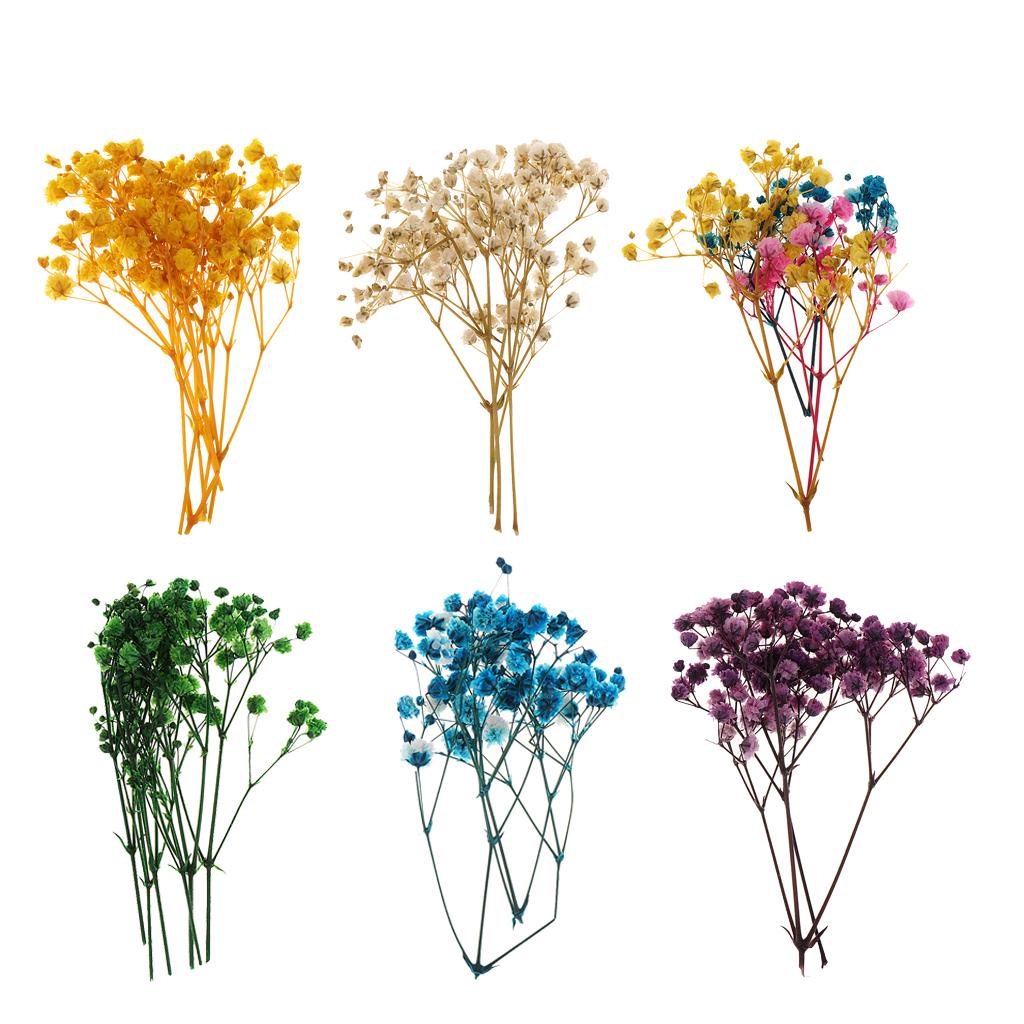 Pressed Dried Natural Flowers  – Resin Craft Ideas recenzja i cena