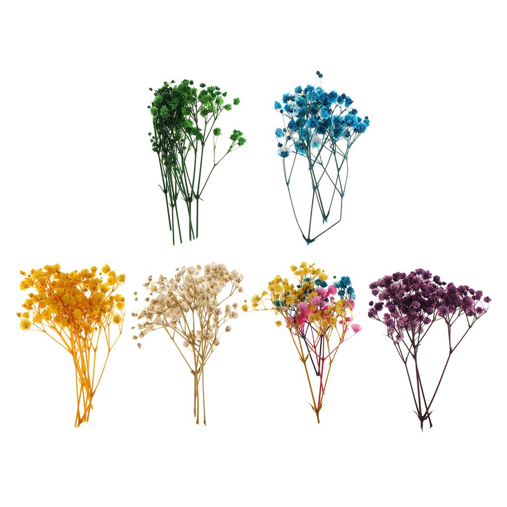 Pressed Dried Natural Flowers  – Resin Craft Ideas recenzja i cena