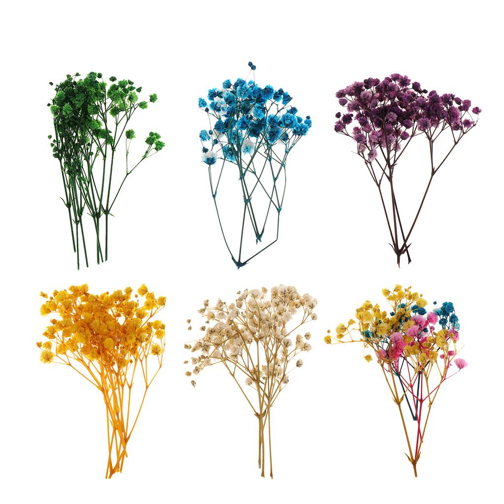 Pressed Dried Natural Flowers  – Resin Craft Ideas recenzja i cena