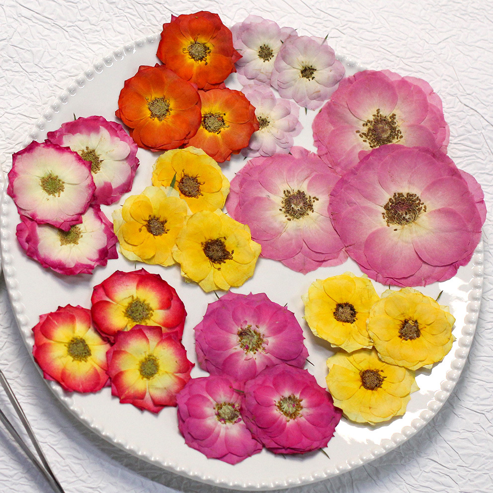 48 Yellow Mixed-Size Pressed R – Resin Craft Ideas recenzja i cena