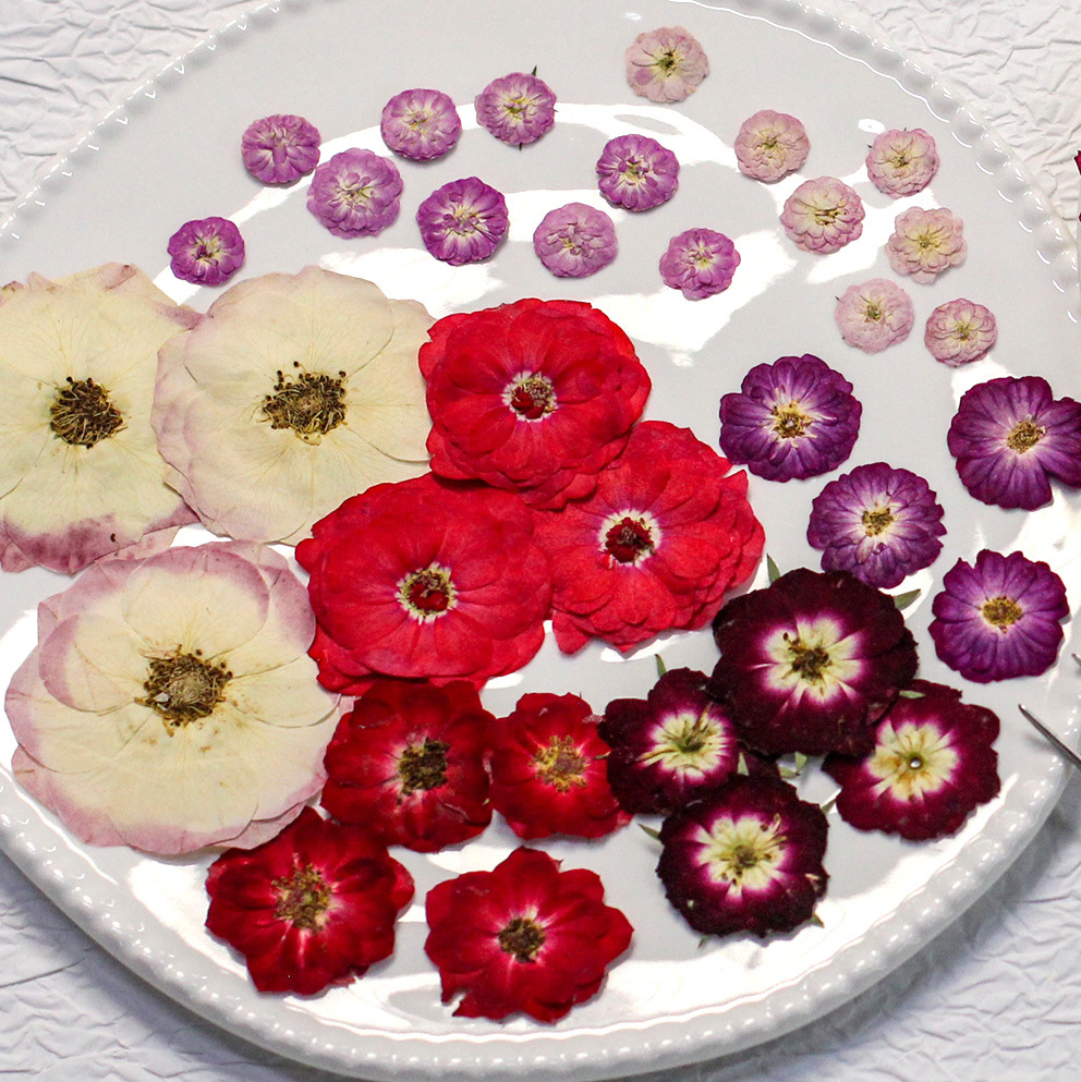 48 Yellow Mixed-Size Pressed R – Resin Craft Ideas recenzja i cena