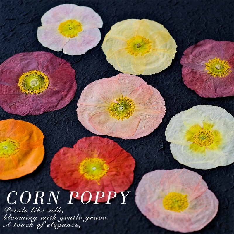 1pcs,Nature Field Poppy Presse – Resin Craft Ideas recenzja i cena