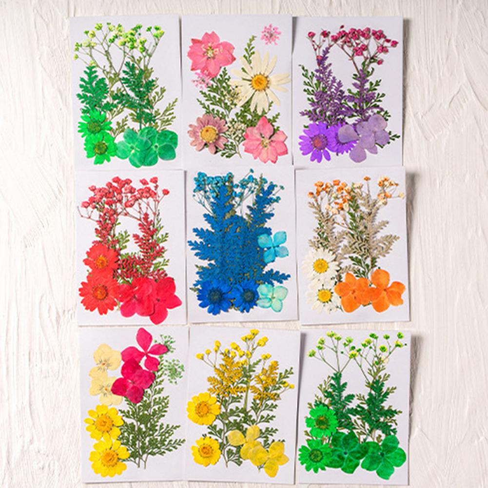 Dried Flower Bouquet Premium D – Dried Flower Bulk recenzja i cena