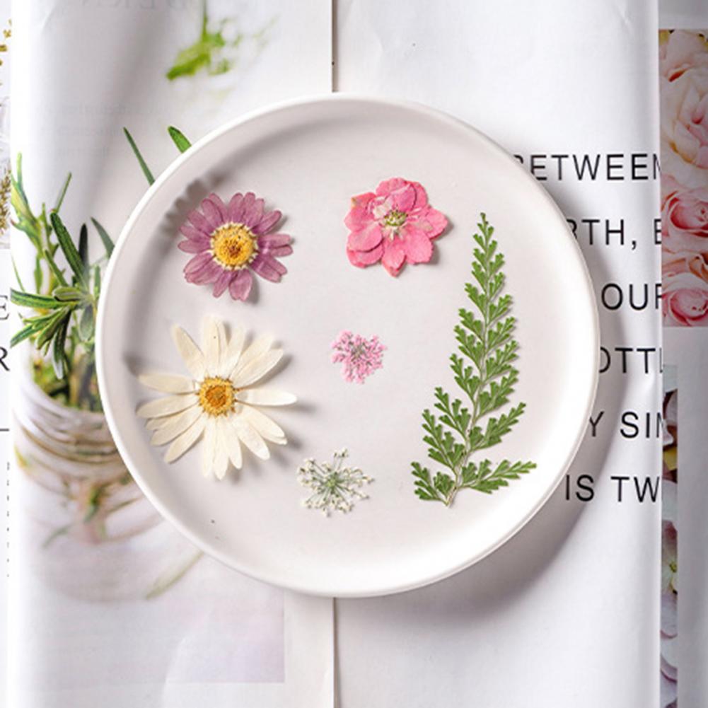 Dried Flower Bouquet Premium D – Dried Flower Bulk recenzja i cena