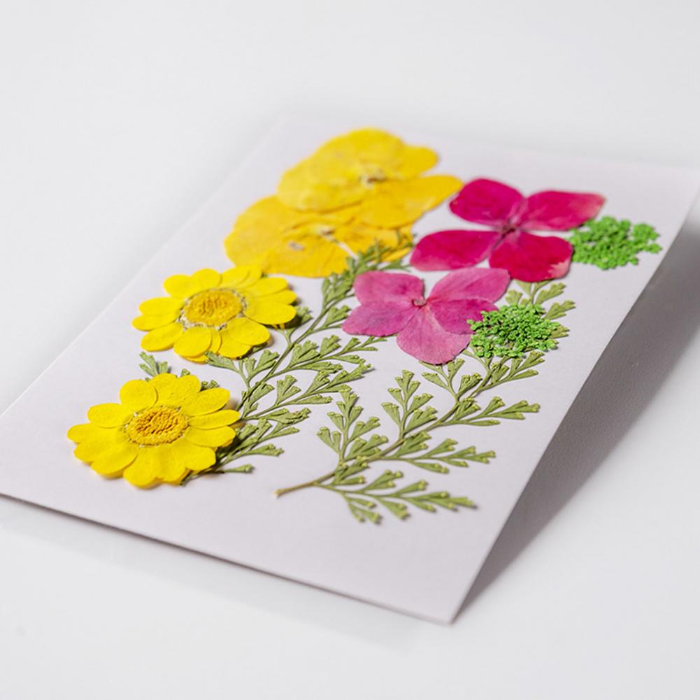 Dried Flower Bouquet Premium D – Dried Flower Bulk recenzja i cena