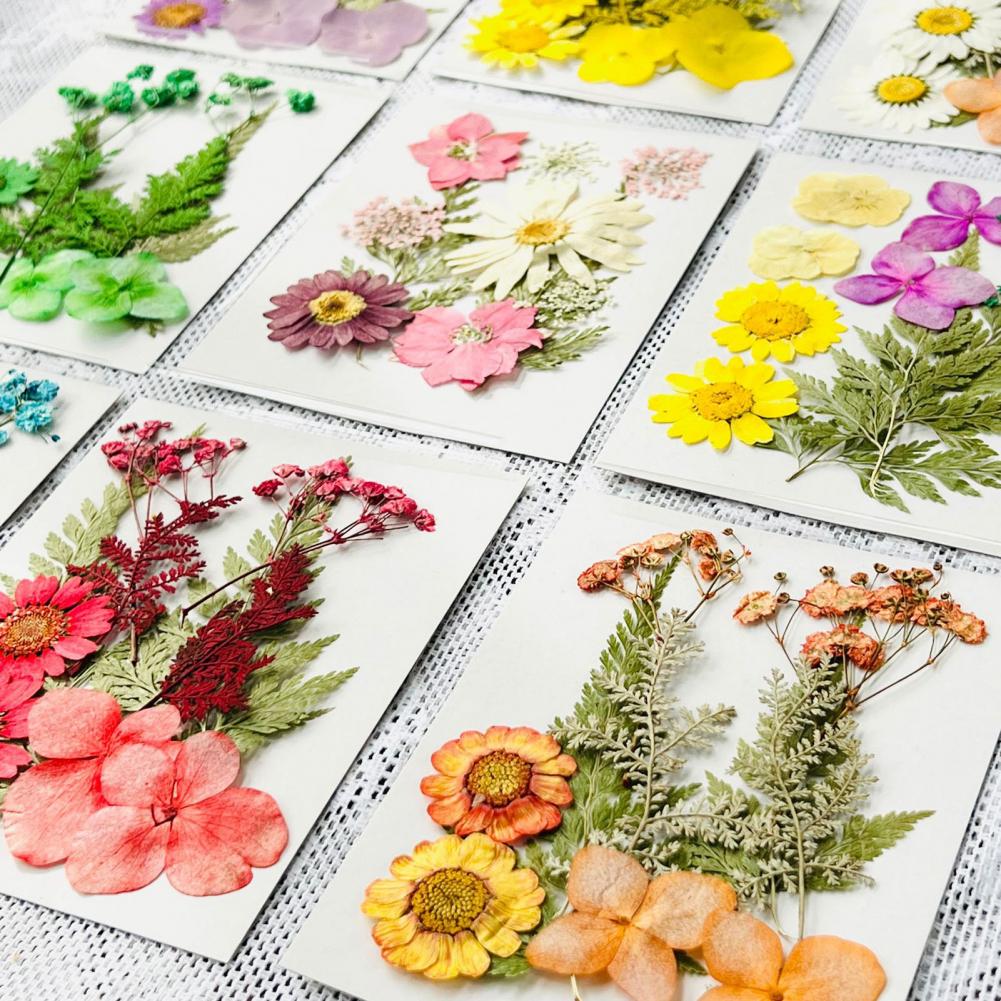 Dried Flower Bouquet Premium D – Dried Flower Bulk recenzja i cena
