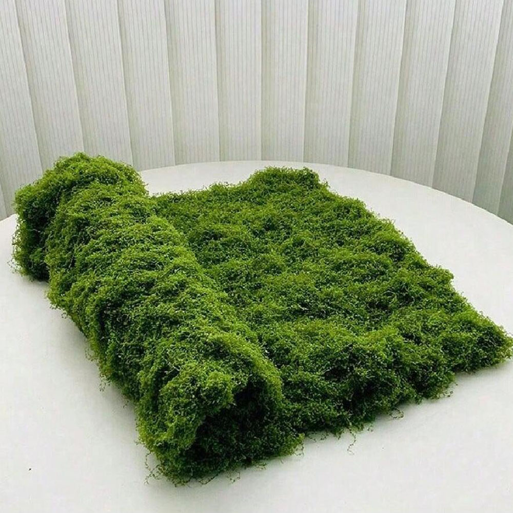 1*1m Fake Moss DIY Crafts Gras – Terrarium Moss Art recenzja i cena