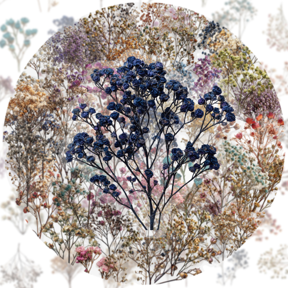 50PCS Retro Color Dried Flower – Dried Flower Bulk recenzja i cena