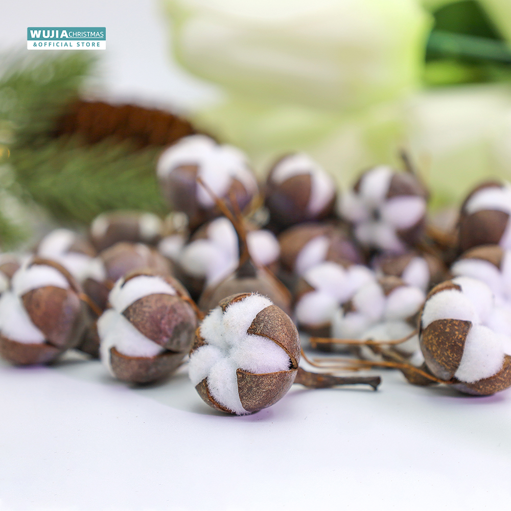 12pcs Artificial Kapok Natural – Dried Flower Bulk recenzja i cena
