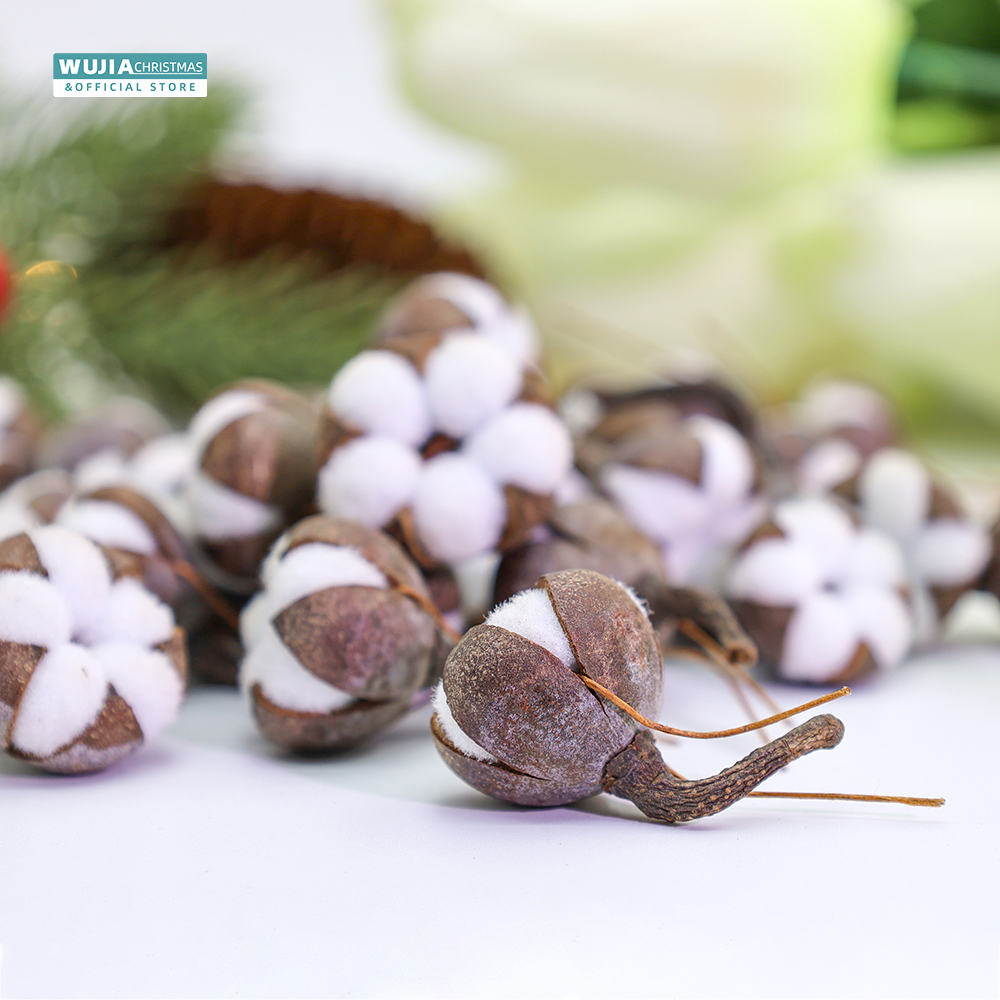 12pcs Artificial Kapok Natural – Dried Flower Bulk recenzja i cena