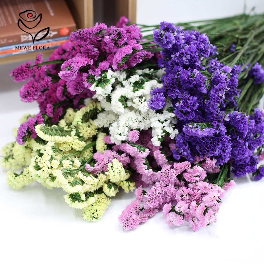 100g Dried Forget Me Not Flowe – Dried Flower Bulk recenzja i cena