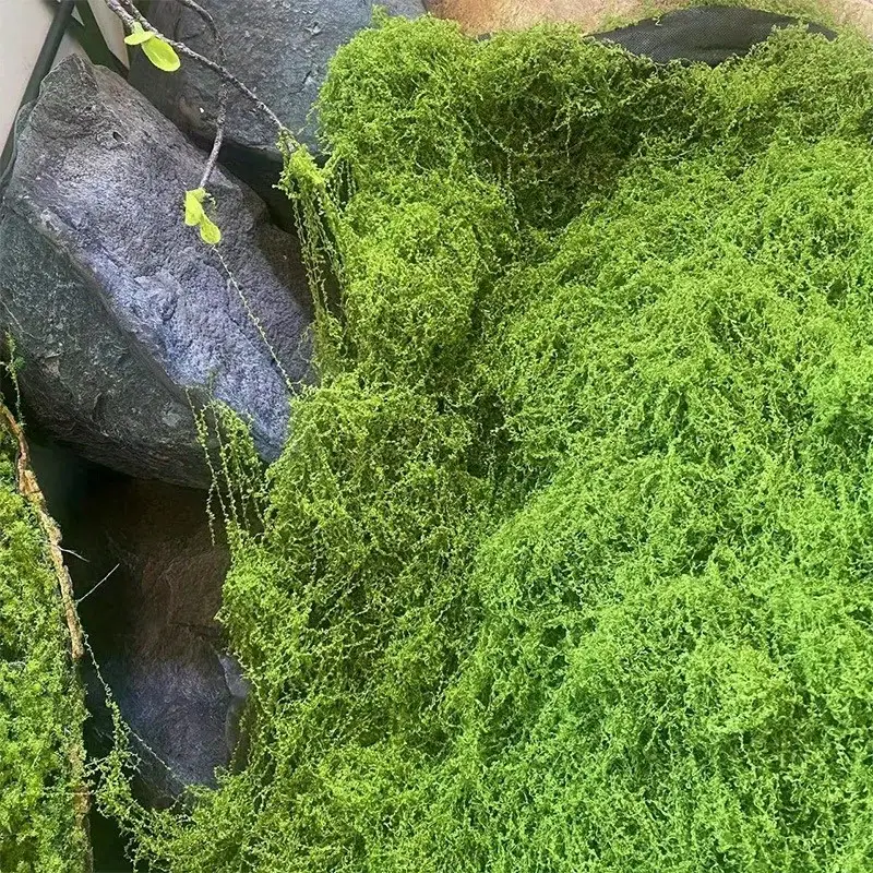 Green Fake Moss DIY Crafts Gra – Terrarium Moss Art recenzja i cena