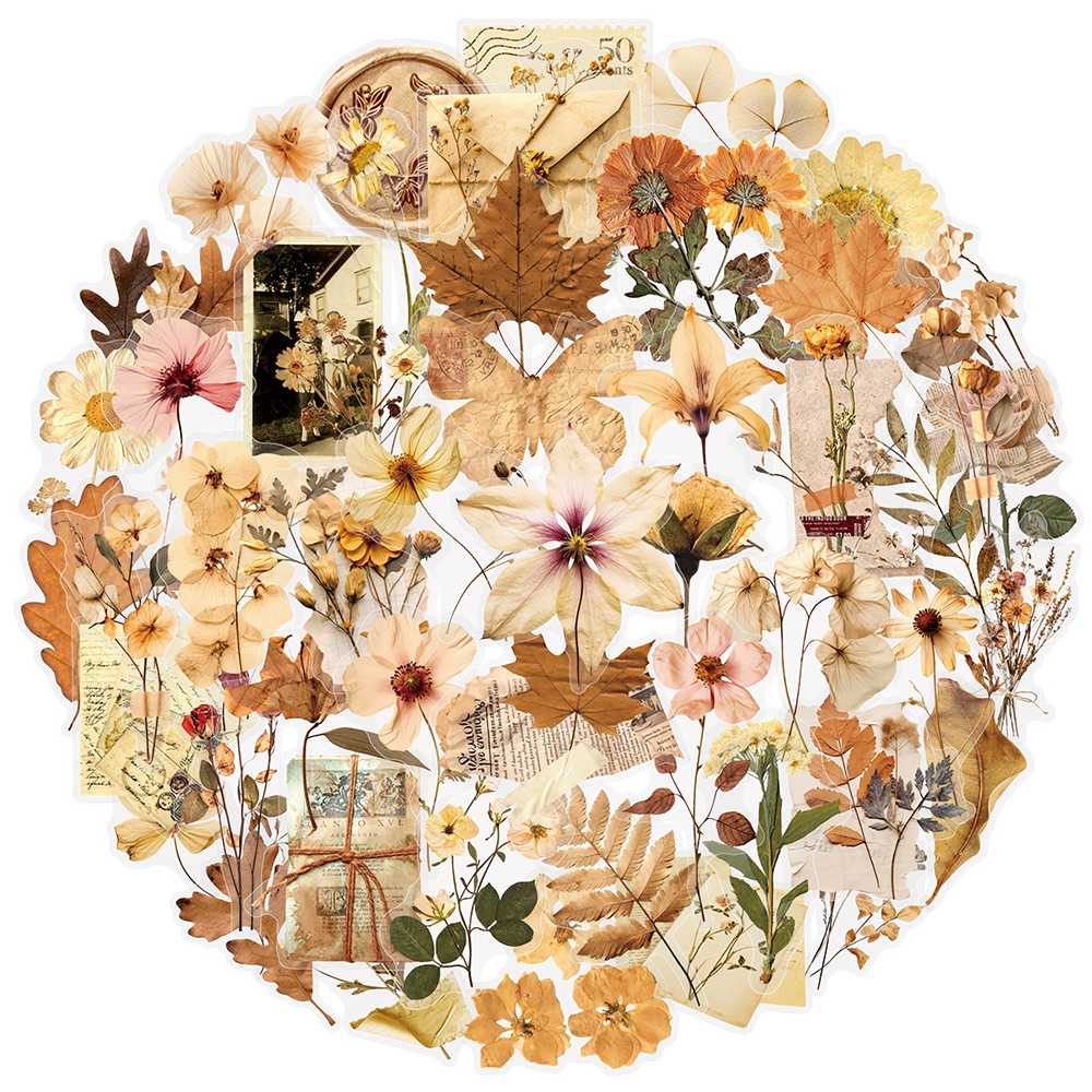 10/30/50pcs Transparent Dried  – Dried Flower Bulk recenzja i cena