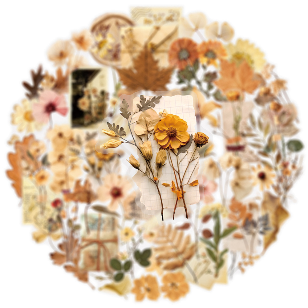 10/30/50pcs Transparent Dried  – Dried Flower Bulk recenzja i cena