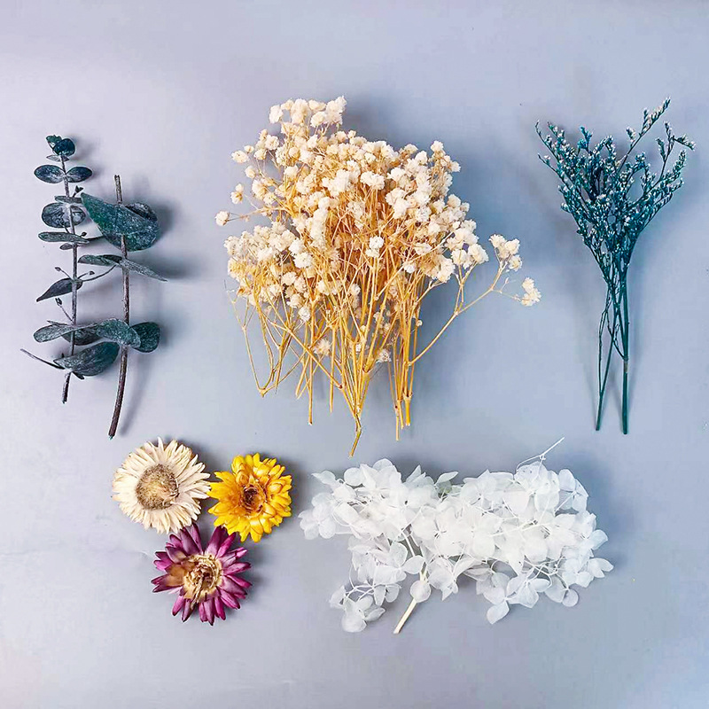 1pack Multifarious Dried Flowe – Dried Flower Bulk recenzja i cena