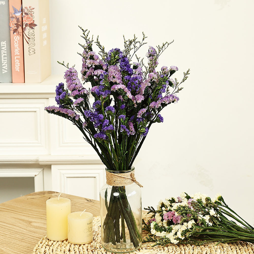 100g Natural Real Forget-me-no – Dried Flower Bulk recenzja i cena