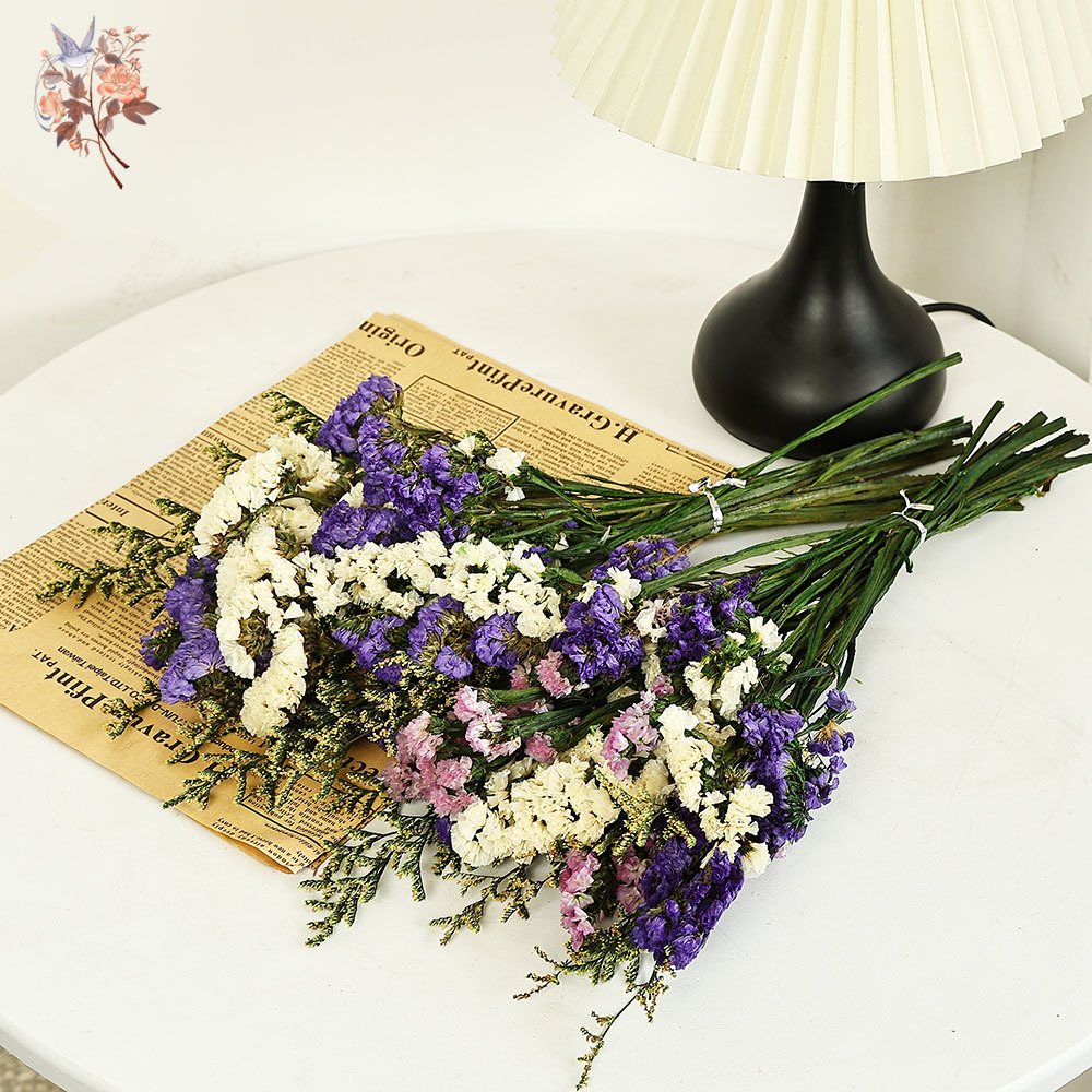 100g Natural Real Forget-me-no – Dried Flower Bulk recenzja i cena